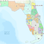 Florida Voters Challenge DeSantis on Constitutional Authority for Mid-Cycle Congressional Redistricting